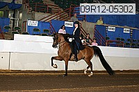 09r12-05302 proof