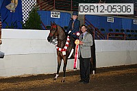 09r12-05306 proof