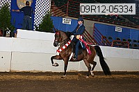 09r12-05334 proof