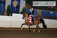 09r12-05337 proof