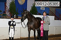 09r12-05385 proof