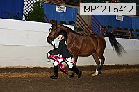 09r12-05412 proof