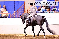 09r12-05431 proof