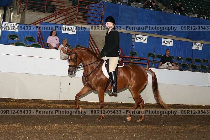 Proof 09r12-05433