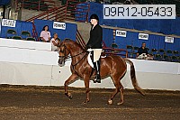 09r12-05433 proof
