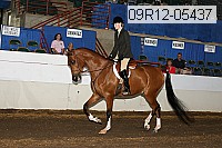 09r12-05437 proof