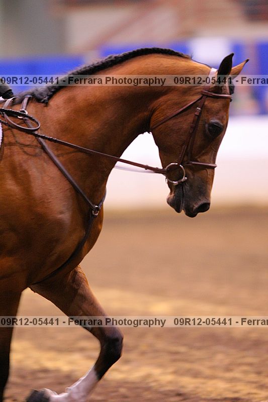 Proof 09r12-05441