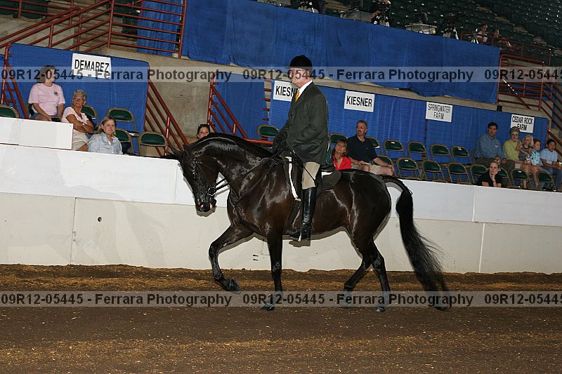 Proof 09r12-05445