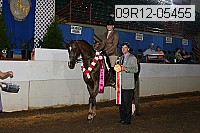 09r12-05455 proof