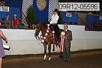 09r12-05596 proof