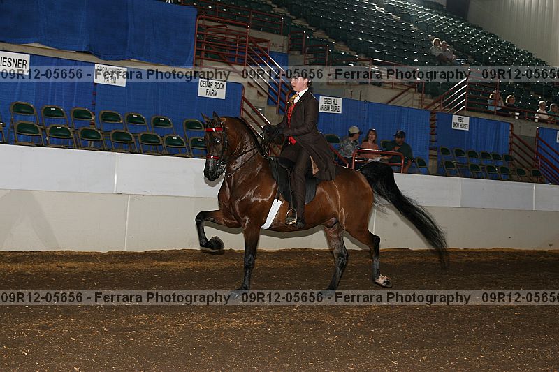 Proof 09r12-05656