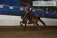 09r12-05656 proof