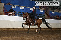 09r12-05657 proof