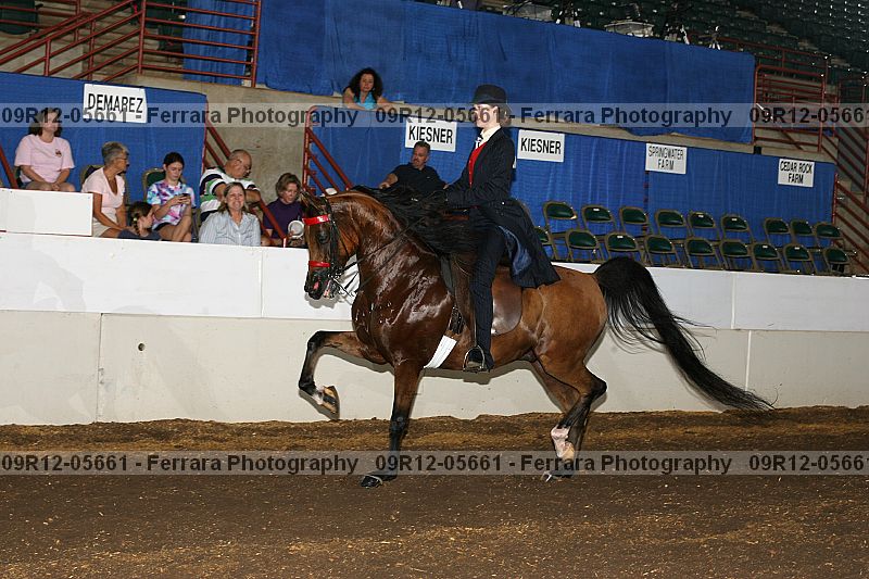 Proof 09r12-05661