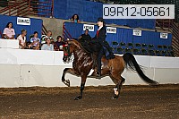 09r12-05661 proof