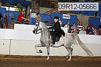 09r12-05666 proof