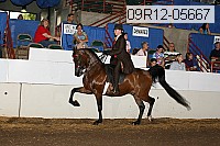 09r12-05667 proof
