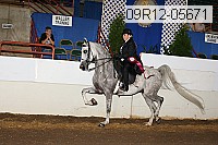 09r12-05671 proof