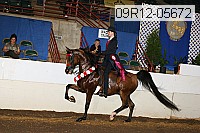 09r12-05672 proof