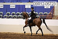 09r12-05723 proof
