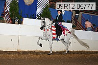 09r12-05777 proof
