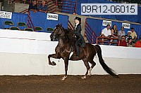 09r12-06015 proof