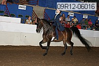 09r12-06016 proof