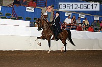 09r12-06017 proof