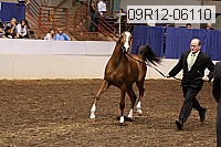 09r12-06110 proof