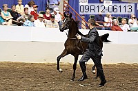 09r12-06113 proof