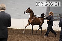 09r12-06121 proof
