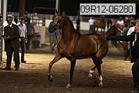09r12-06280 proof