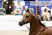 09r12-06285 proof