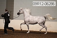 09r12-06286 proof