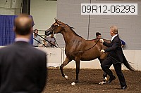 09r12-06293 proof