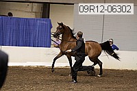 09r12-06302 proof