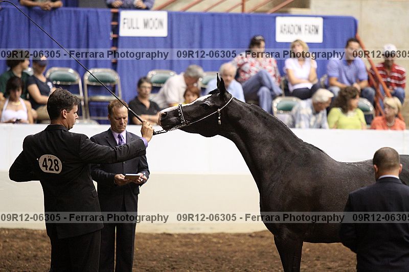 Proof 09r12-06305