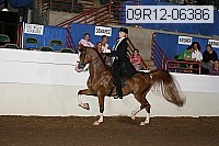 09r12-06386 proof