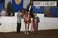 09r12-06387 proof