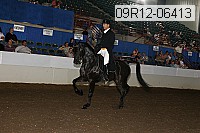 09r12-06413 proof