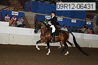 09r12-06431 proof