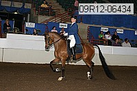 09r12-06434 proof