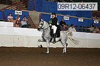09r12-06437 proof