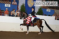 09r12-06465 proof