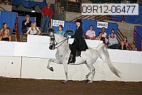 09r12-06477 proof