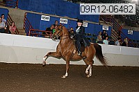 09r12-06482 proof