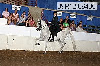 09r12-06485 proof