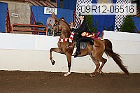 09r12-06516 proof