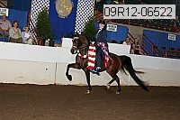 09r12-06522 proof