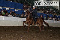09r12-06533 proof